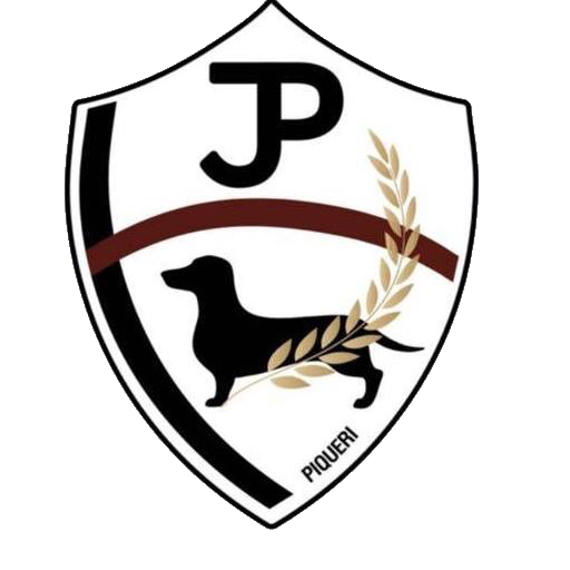 JUVENTUS DO PIQUERI F7