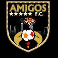 AMIGOS FUTSAL